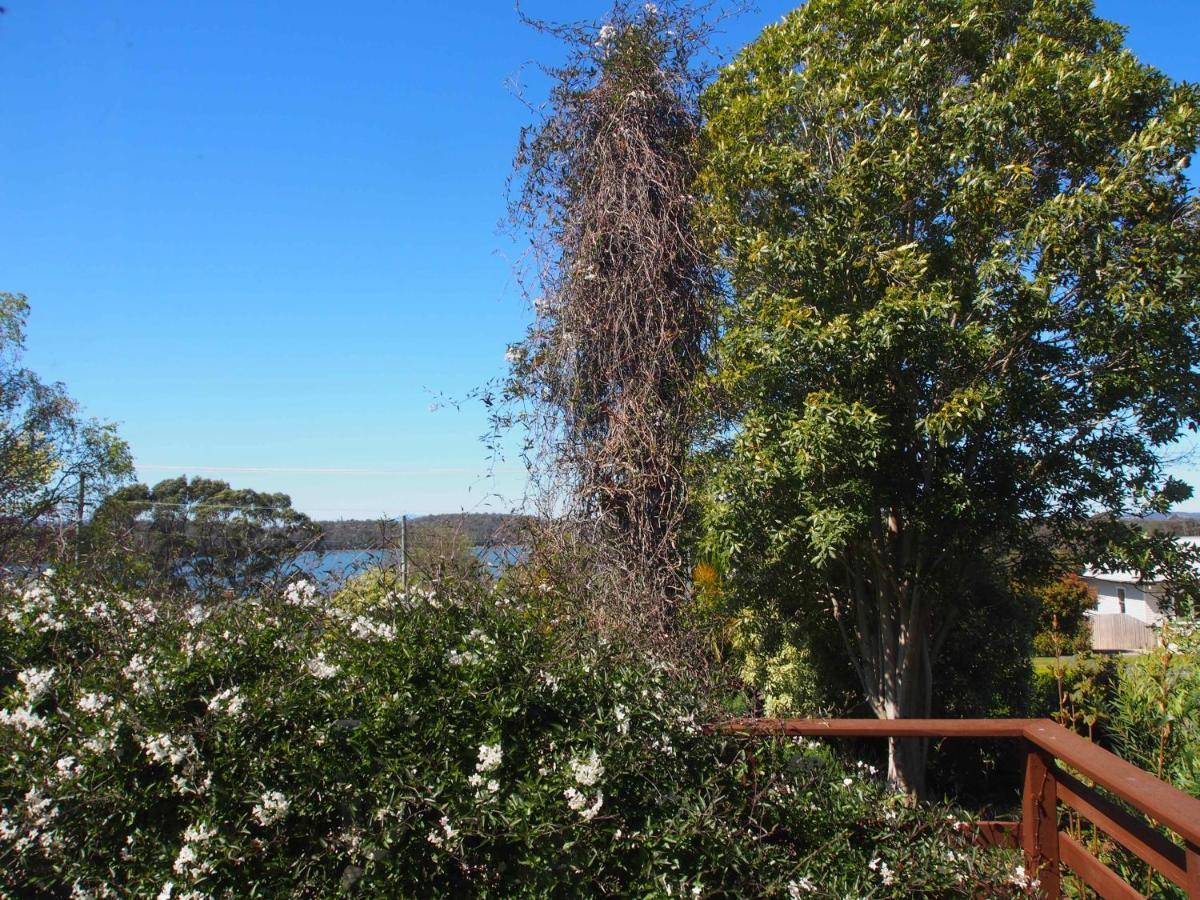 Cosy, Comfortable Cottage - Views & Location Plus Beauty Point Экстерьер фото